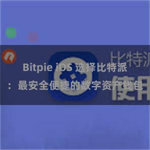 Bitpie iOS 选择比特派：最安全便捷的数字资产钱包