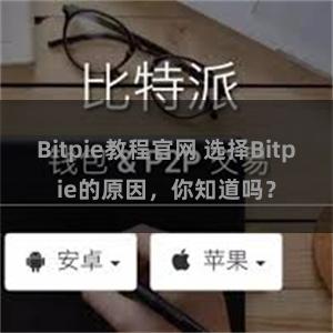 Bitpie教程官网 选择Bitpie的原因，你知道吗？