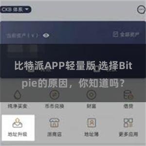 比特派APP轻量版 选择Bitpie的原因，你知道吗？