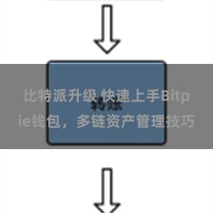 比特派升级 快速上手Bitpie钱包，多链资产管理技巧