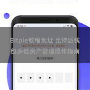 Bitpie教程地址 比特派钱包多链资产管理操作指南