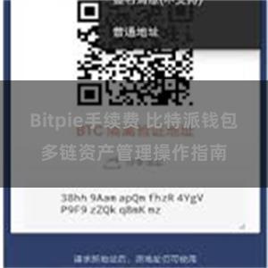 Bitpie手续费 比特派钱包多链资产管理操作指南