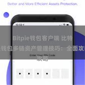 Bitpie钱包客户端 比特派钱包多链资产管理技巧：全面攻略