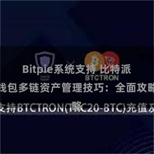 Bitpie系统支持 比特派钱包多链资产管理技巧：全面攻略