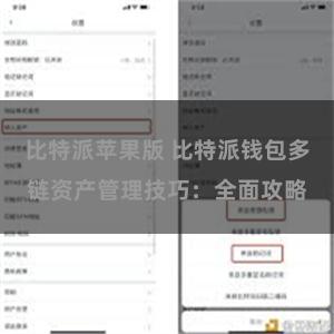 比特派苹果版 比特派钱包多链资产管理技巧：全面攻略