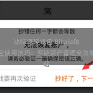 比特派轻钱包 Bitpie钱包使用技巧：多链资产管理全攻略