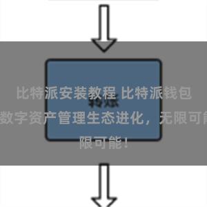 比特派安装教程 比特派钱包：数字资产管理生态进化，无限可能！