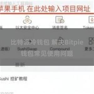 比特派冷钱包 解决Bitpie钱包常见使用问题