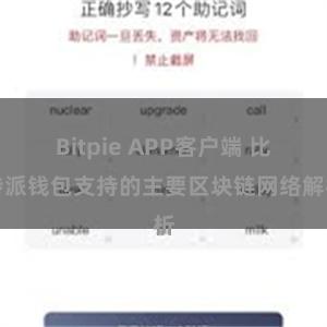 Bitpie APP客户端 比特派钱包支持的主要区块链网络解析