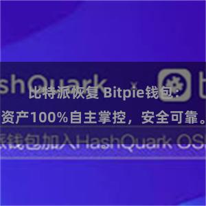 比特派恢复 Bitpie钱包：资产100%自主掌控，安全可靠。