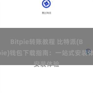 Bitpie转账教程 比特派(Bitpie)钱包下载指南：一站式安装体验