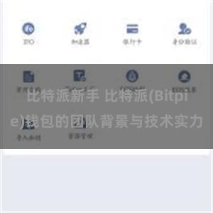 比特派新手 比特派(Bitpie)钱包的团队背景与技术实力