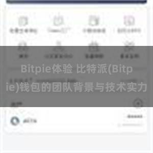 Bitpie体验 比特派(Bitpie)钱包的团队背景与技术实力