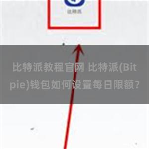 比特派教程官网 比特派(Bitpie)钱包如何设置每日限额？