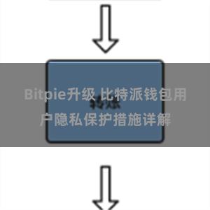 Bitpie升级 比特派钱包用户隐私保护措施详解