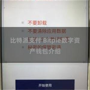 比特派支付 Bitpie数字资产钱包介绍