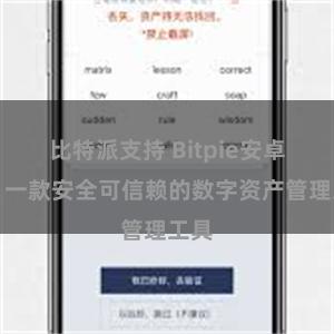 比特派支持 Bitpie安卓版：一款安全可信赖的数字资产管理工具