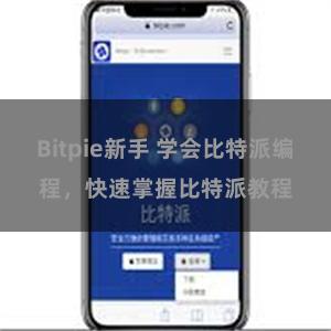 Bitpie新手 学会比特派编程，快速掌握比特派教程