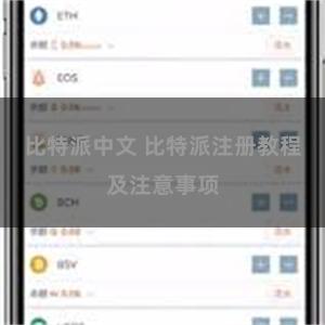 比特派中文 比特派注册教程及注意事项