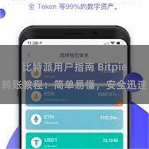 比特派用户指南 Bitpie转账教程：简单易懂，安全迅速