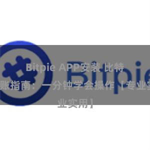 Bitpie APP安装 比特派转账指南：一分钟学会操作【专业实用】