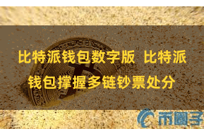 比特派钱包数字版  比特派钱包撑握多链钞票处分