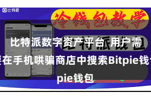 比特派数字资产平台  用户需要在手机哄骗商店中搜索Bitpie钱包