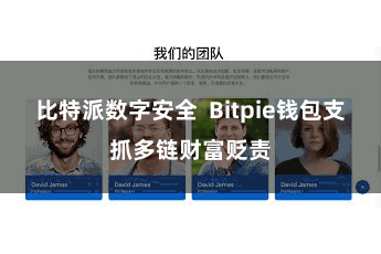 比特派数字安全  Bitpie钱包支抓多链财富贬责