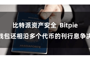 比特派资产安全  Bitpie钱包还相沿多个代币的刊行息争决